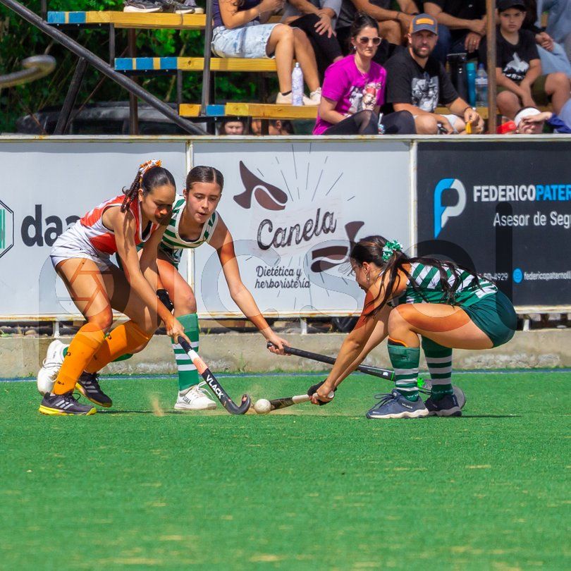 Photo of d5a171fnfpivank9yvs72vrx