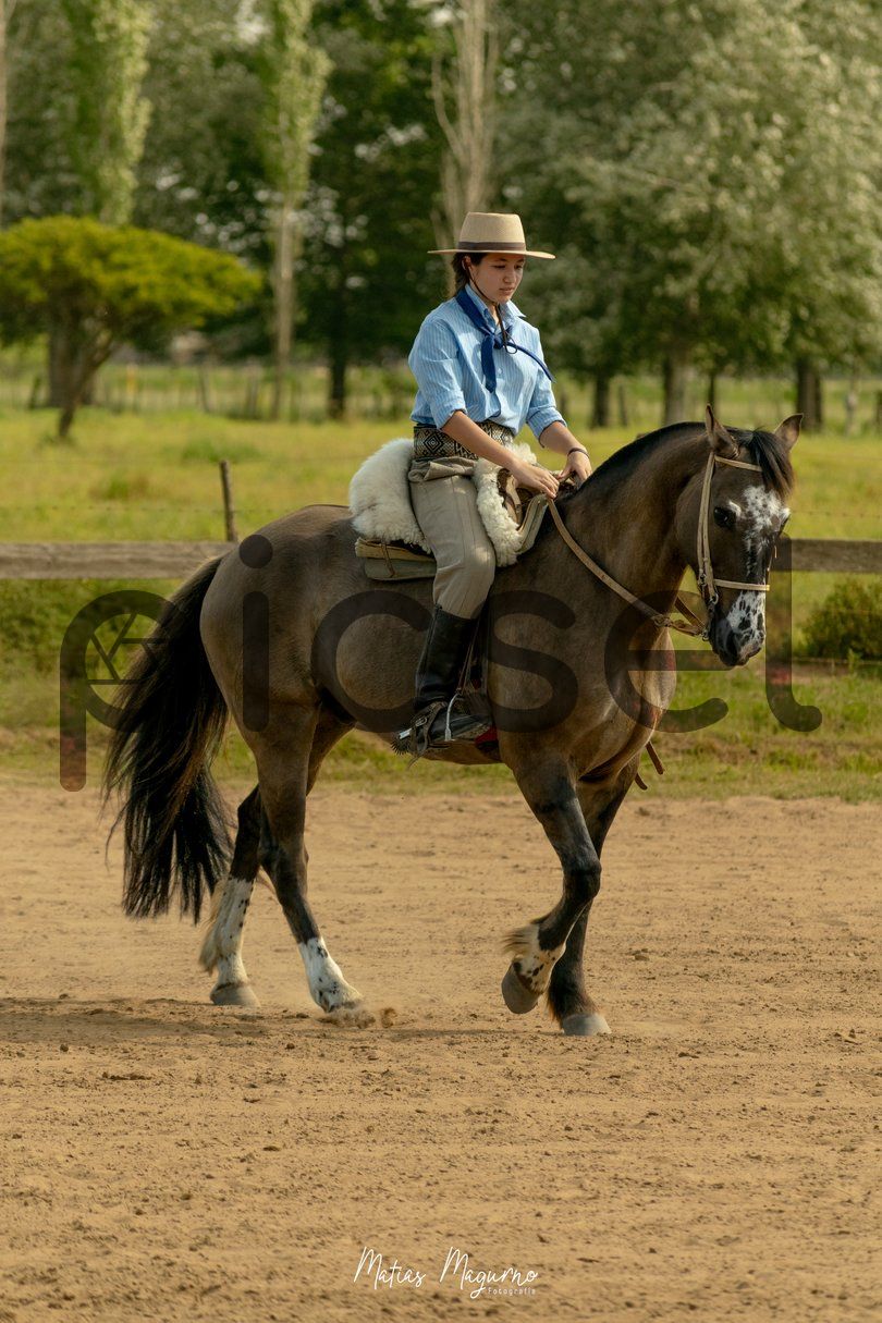 Photo of fbtuo6o4daa1wsm8qjto9ysv