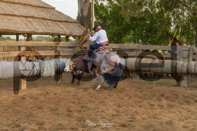 Photo of yf6uescsehswu4b1395kiqkf