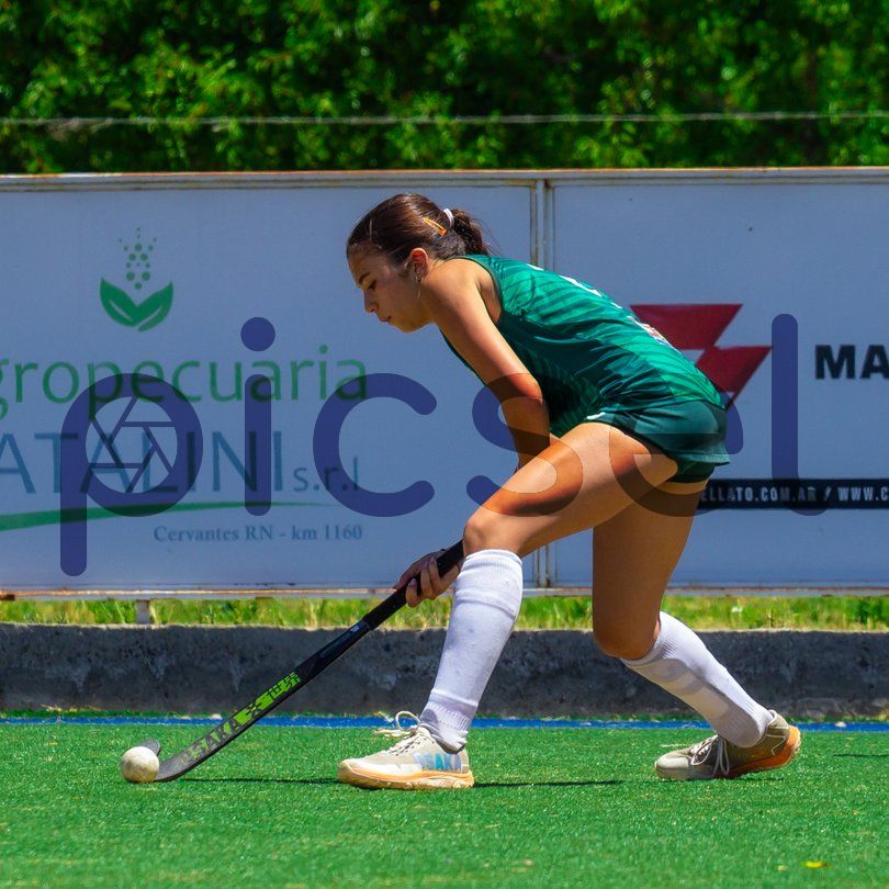 Photo of ya5ir2g6qrt5ew0n7mqhdbw1