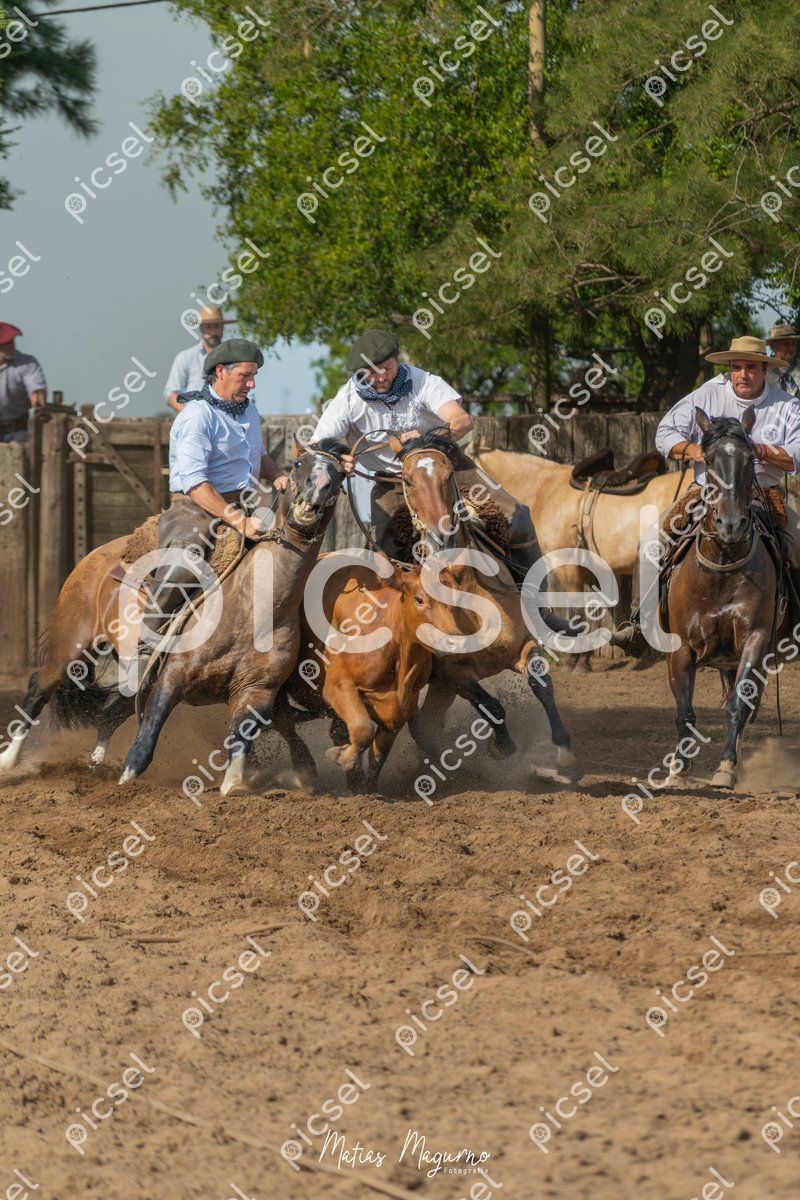 Photo of wzbulyosm4tpb3pe791417z8