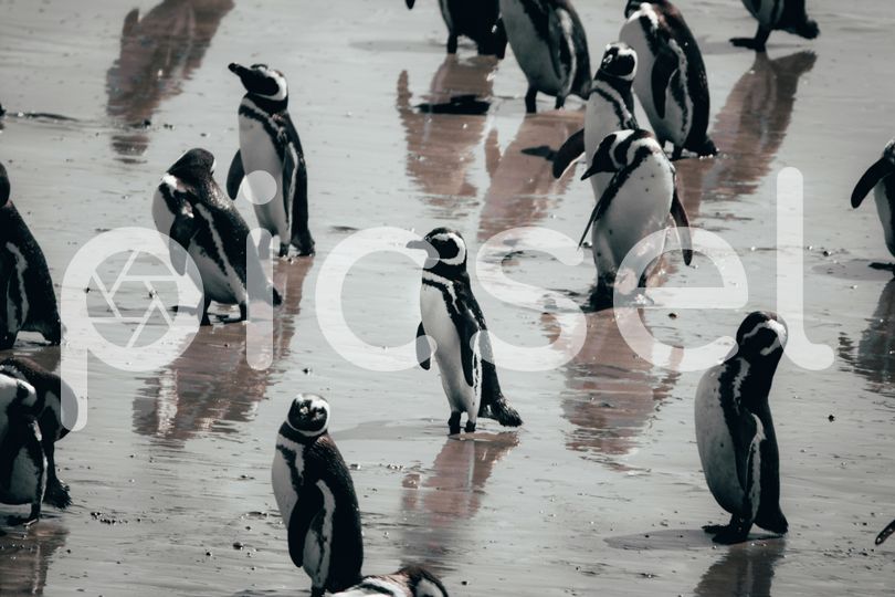 Photo of tjmaqmyvl8d1d7hu5jp7bjuu