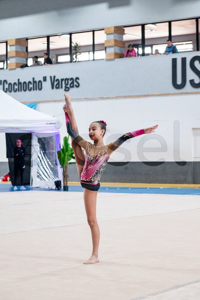 Photo of d74v1r6g55oxu7nbj75pcw22