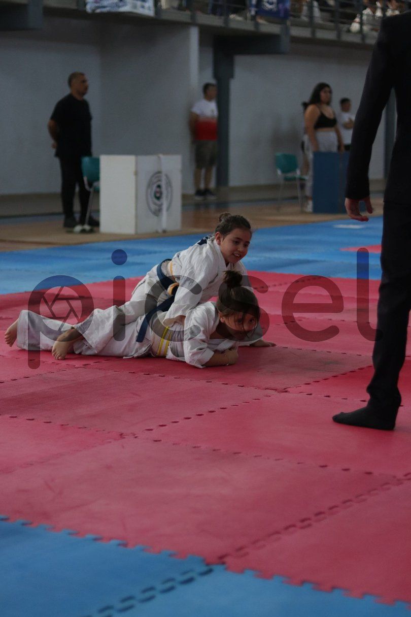 Photo of o4y25y9l4imllokpahsovx9p