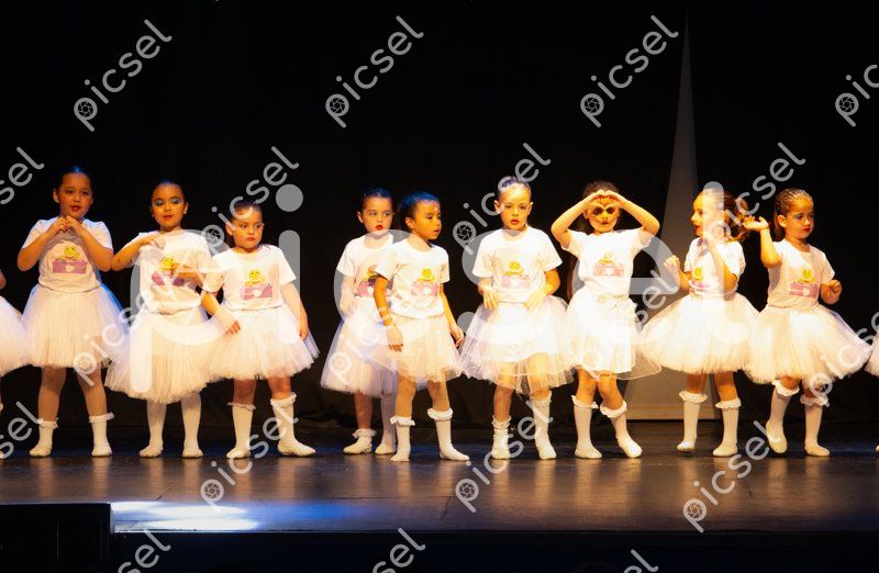 Photo of zsq3grj4gsv8nzbtd3gyednr