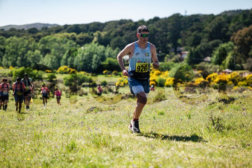 Photo of g6tn2pnwhrwyr0snjca5gv1c