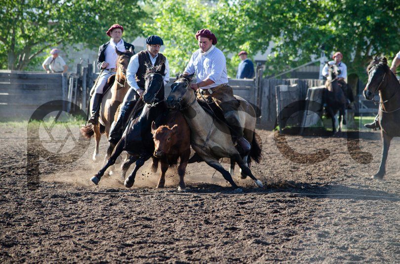 Photo of scr5q0maf1m6cuykk27xhhxq