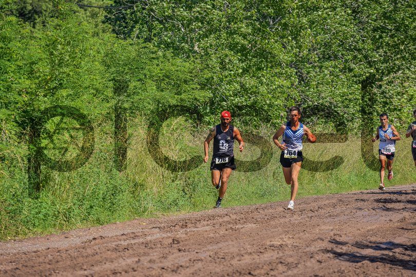 Photo of ucpala77kw73r5ysj4nw11ev