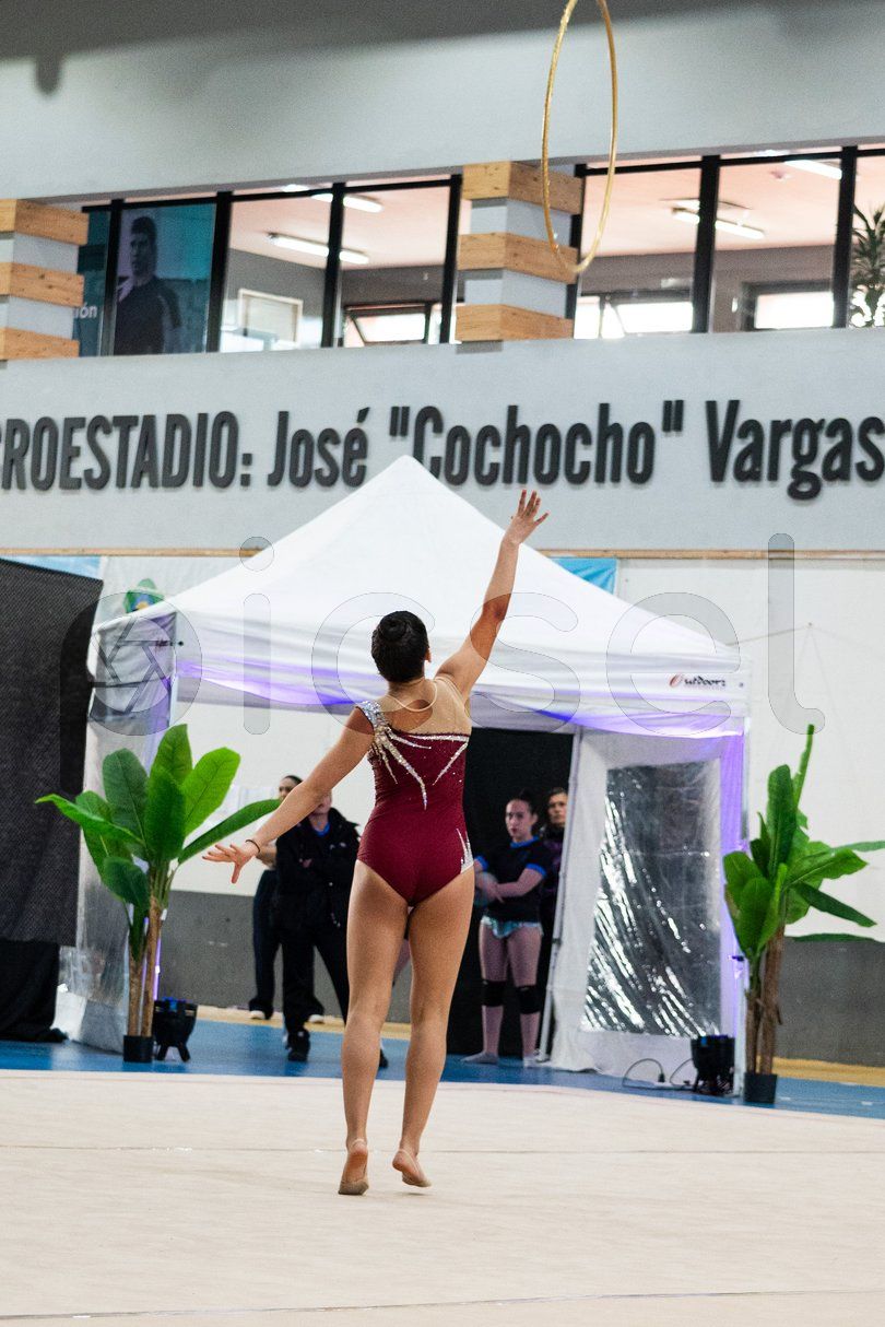 Photo of ofopbtr7hjlvd74n1qsf4bu8