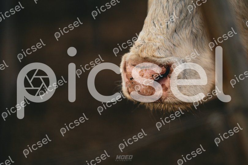 Photo of dtpgzk4fnt28cbfs08u24eb1