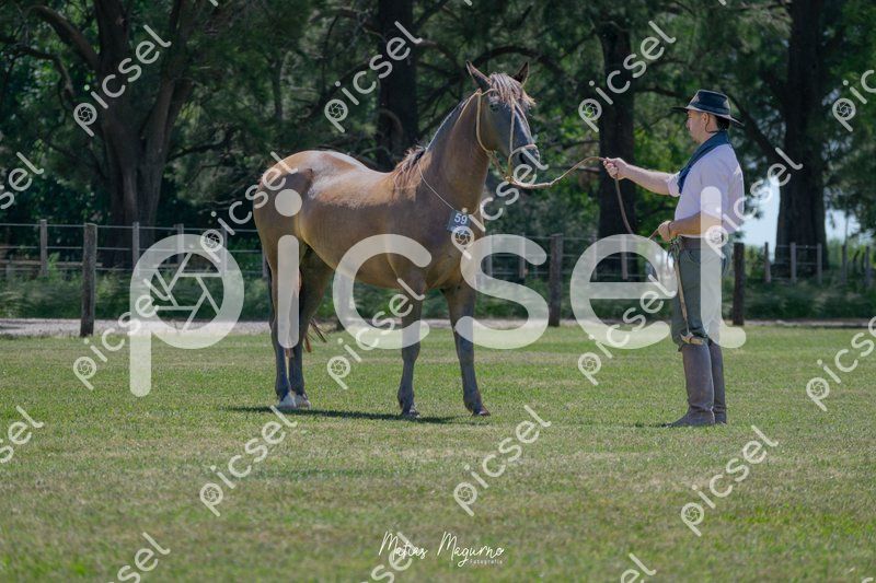 Photo of sz3yuzgm3laa5zgeg9luabe0