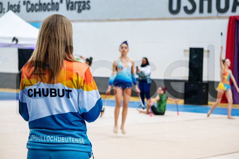 Photo of jsq55jtpxoeu2hm1tvsbu0gp