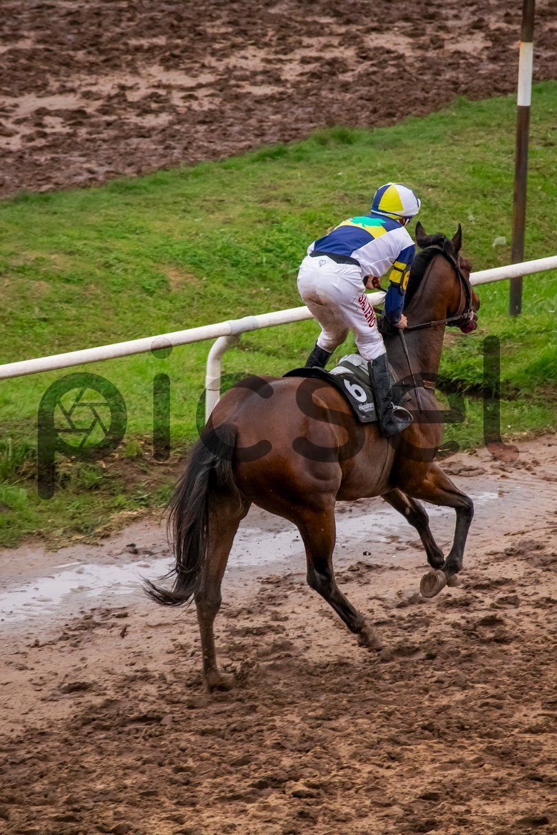 Photo of w9zszoeuyxtbt76lyt6254lr