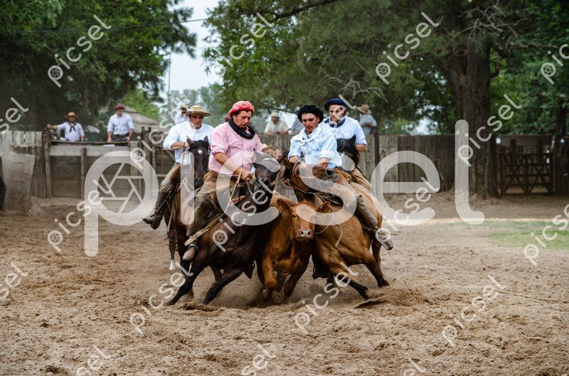 Photo of n37iw0dm6gzc6kg956rmspo6