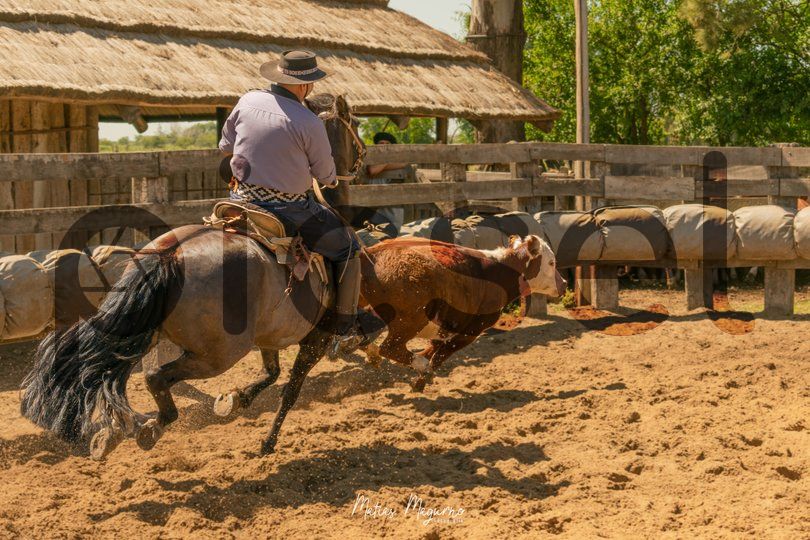 Photo of beh33whvtgde9uk08ebjs4qz