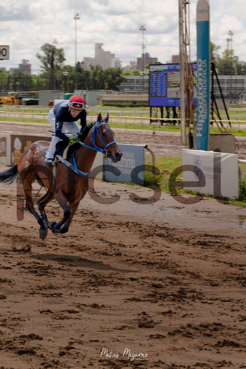 Photo of lf4nm9zpl7kp4yb1fue3jbmk