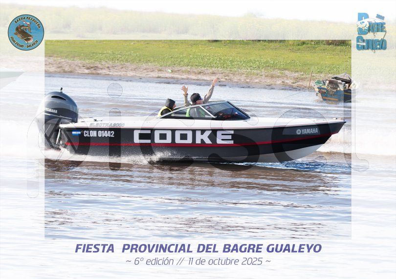 Photo of srvcifn6ota4ev6bwcamfo5j