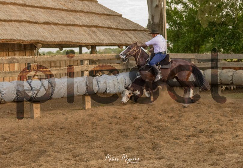 Photo of zyx0qy904ziq3nrv5mtsaxkk