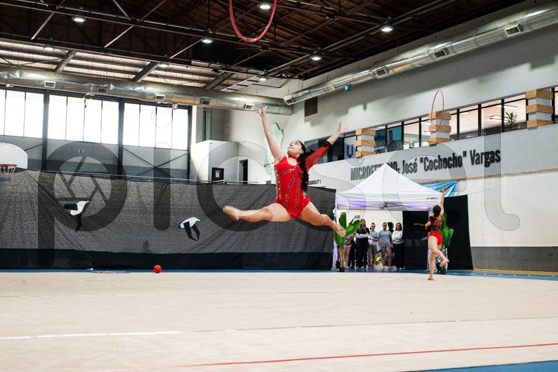 Photo of e2q0j9jz30y987tnik59h22p