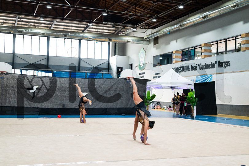 Photo of h1pua9pzl9tym0jdznll8274