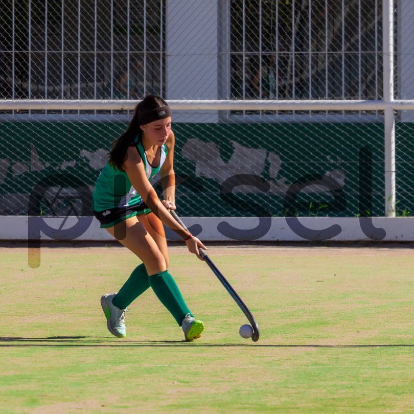 Photo of tkjliovs4rqs08skkibbo1fr