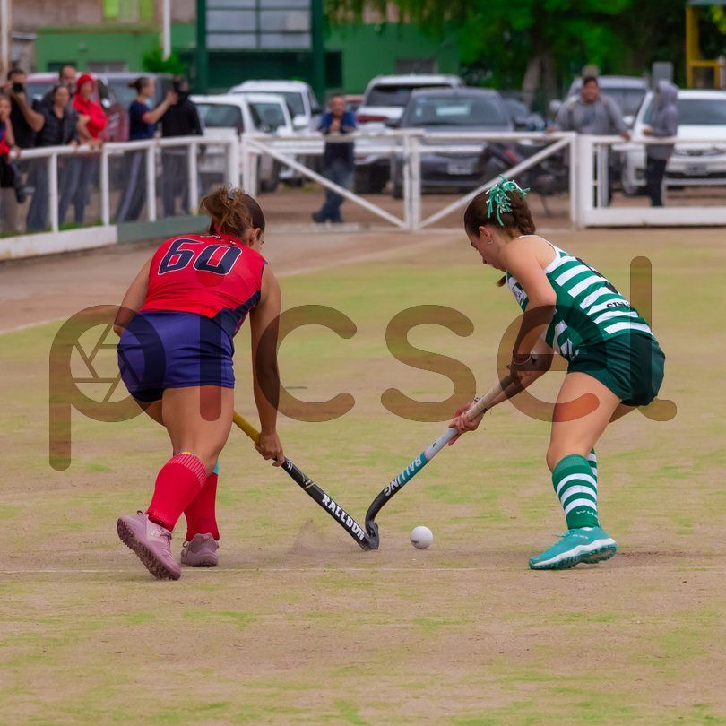 Photo of y87ed9vhq0rs0hg61946miqh