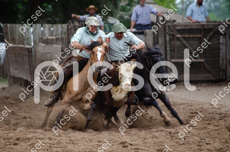 Photo of a0wuha2xcljz4s23z3zshxc2