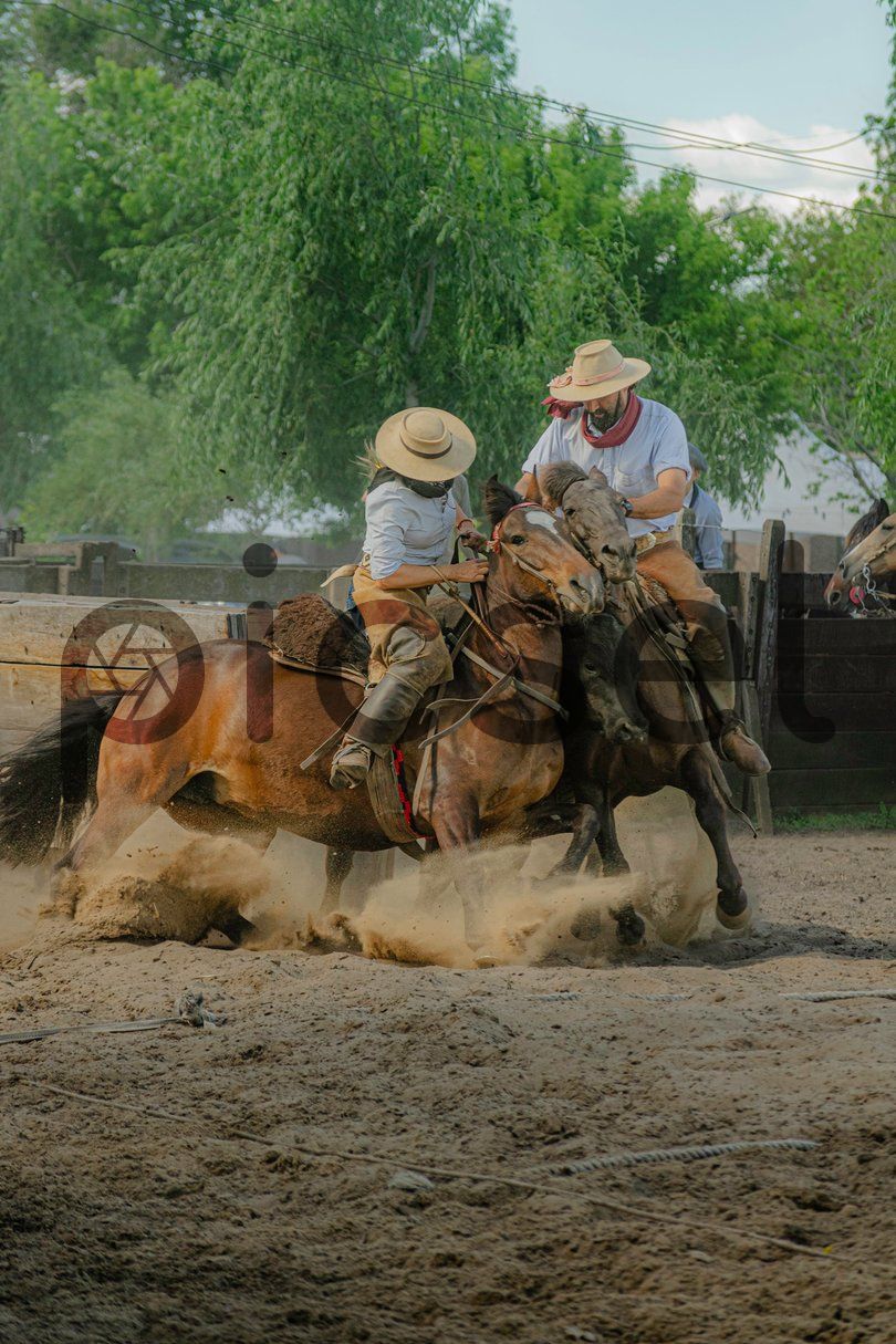 Photo of euji2ug6w14fl4vq1rmzmayo