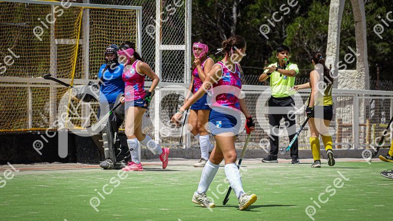 Photo of w64wkrl6w4x1nu8dhale9bec