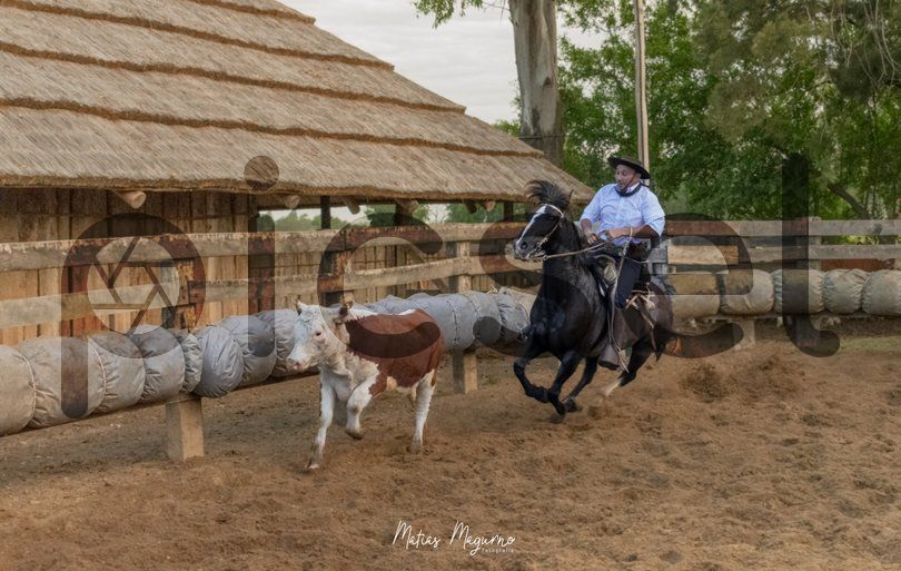 Photo of j2c5ixlf59d9cm7j4q8vycsq