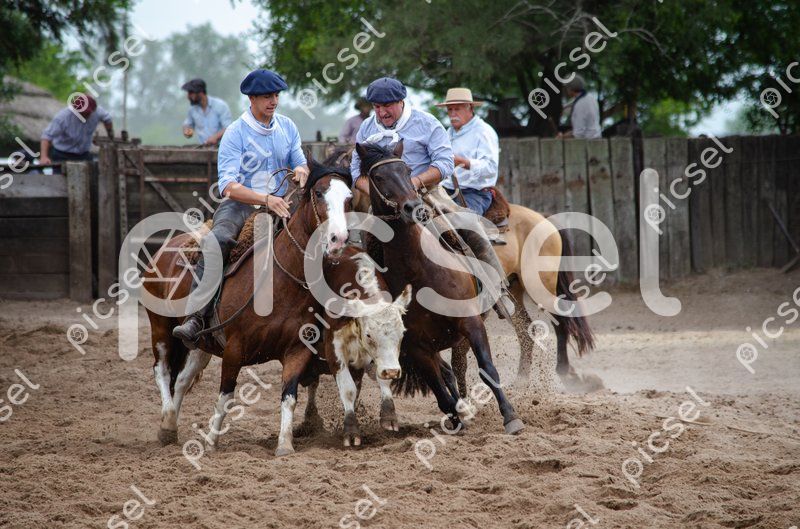 Photo of wpy136i71foaq77kdj3w8uvg