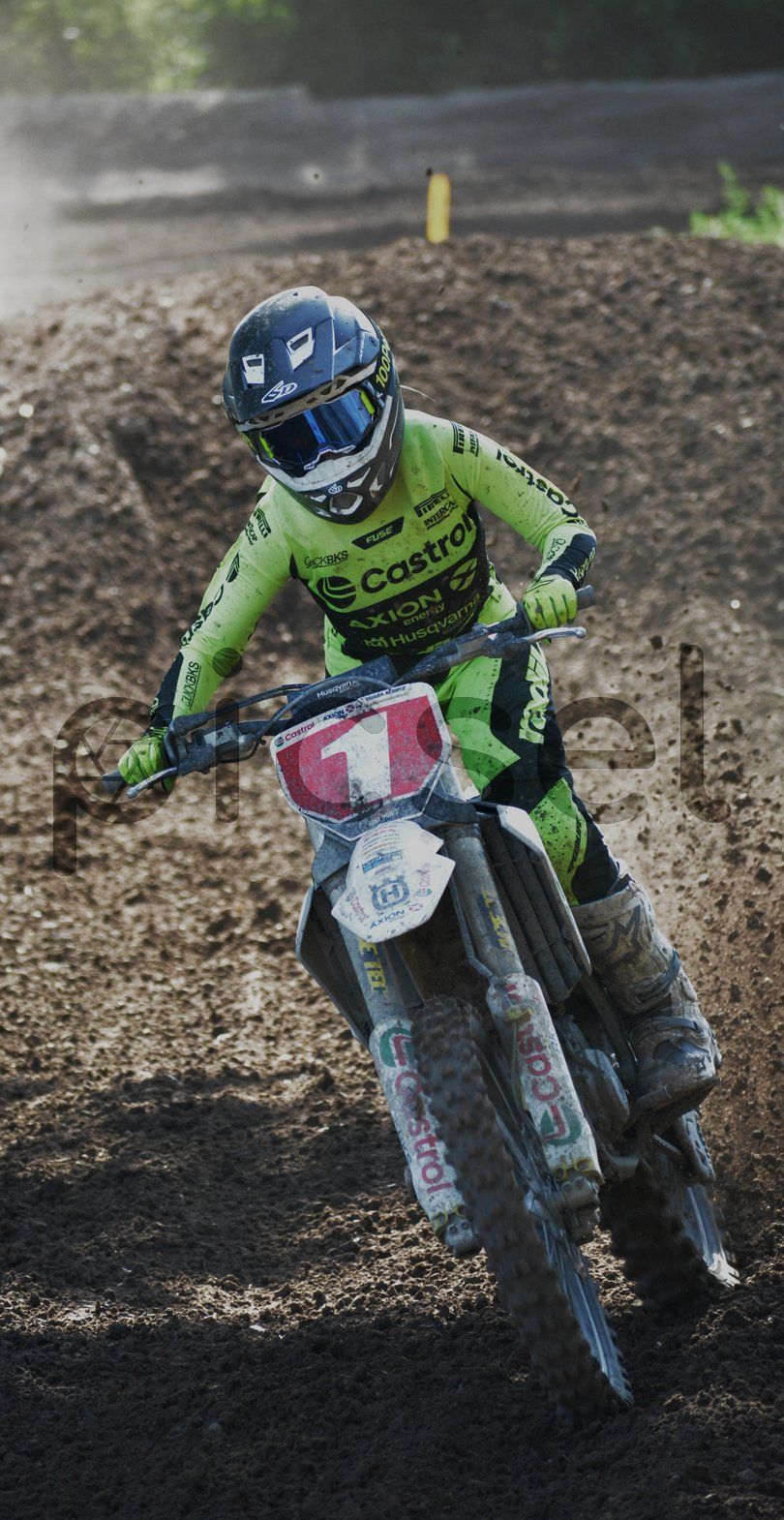 Photo of f8binemv7a86gju13e7zvmfd