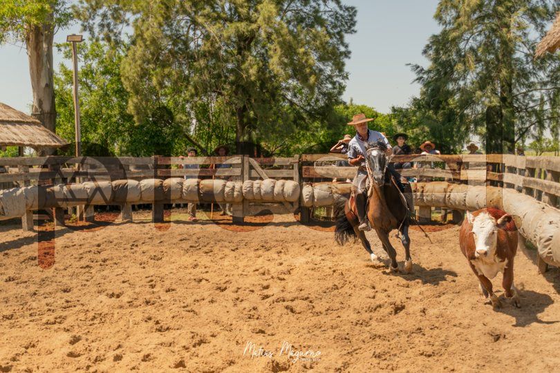 Photo of xa7mardp466wgf9lfwhhxjbe