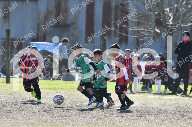 Photo of a7g43rf4isag3q7ox59jhvzz