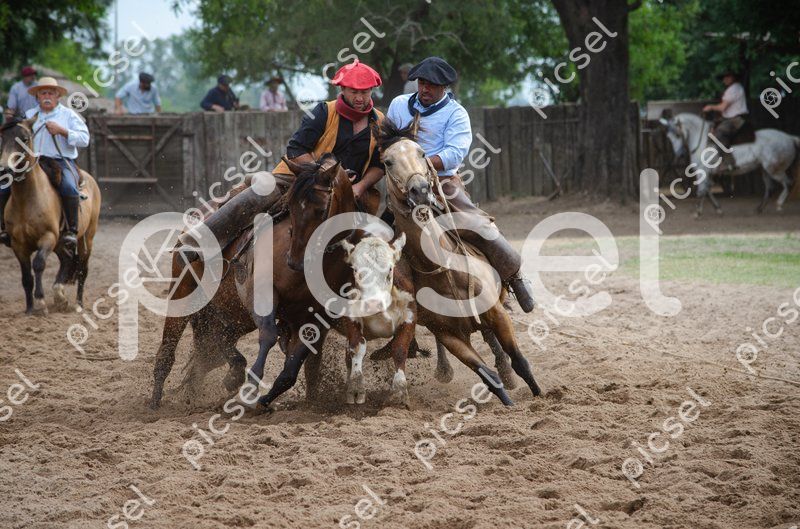 Photo of kqv4fll5bj7f6s0i6dcll8fv