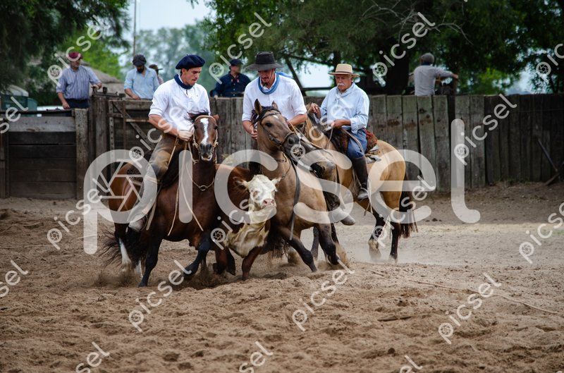 Photo of tqf2s7fum1tm539vy6eqyugs