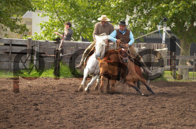 Photo of hx4oxaigxwo4meqlf1tspghv