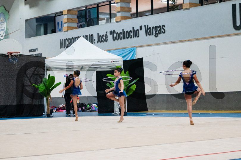 Photo of ipf4n6rkw40vnbwtpq6y6nz8