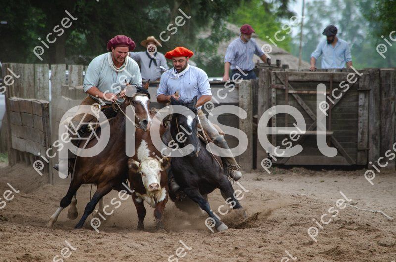 Photo of gt1hiv235pf4ohtfg2fy9fwd