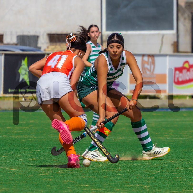 Photo of jdy9cff2a0dev6bcuhu6h7h4