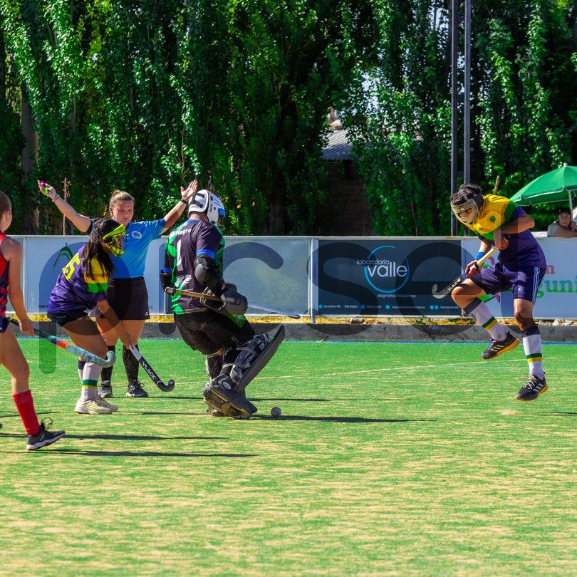 Photo of zgma6hfhf6b6i2vyneccnacz