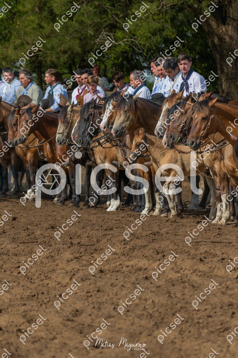 Photo of r6mdijqdy94obnp33bfrncf0