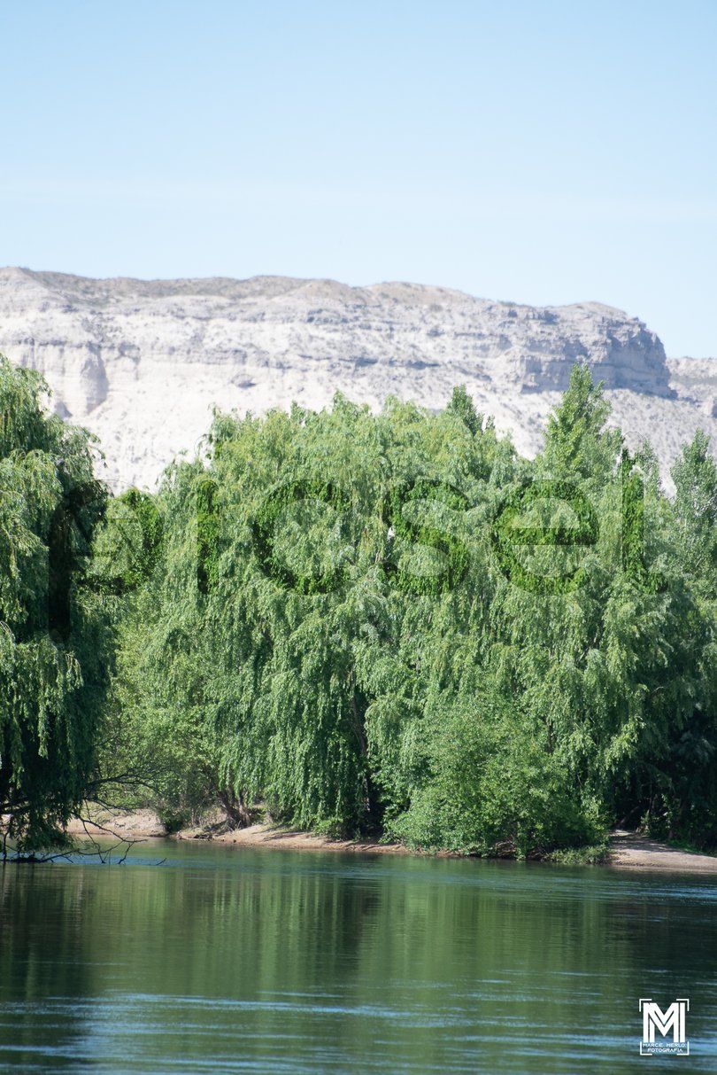 Photo of zm7exihwrfvl2rk2wqczx5qf