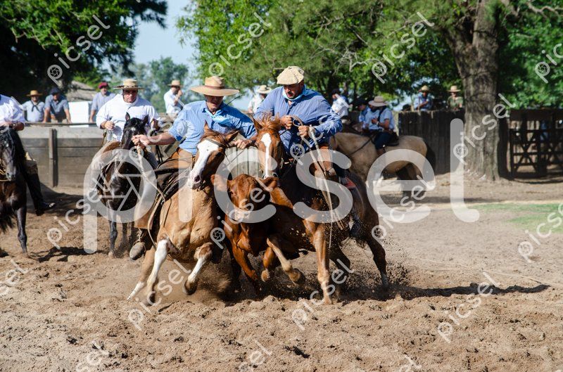 Photo of zpwhfn6r0tad5jcbda020et3