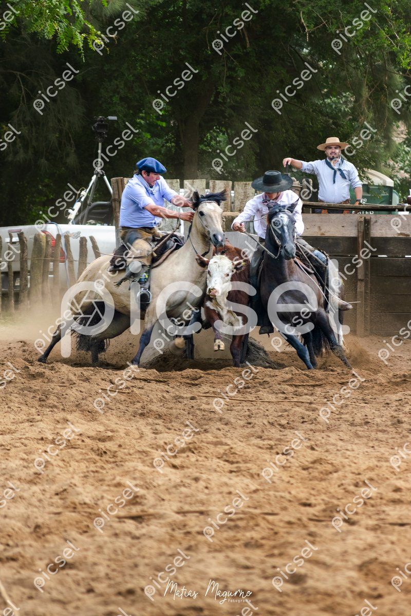 Photo of ygahq8s0o4ibwych7j6a9xg7