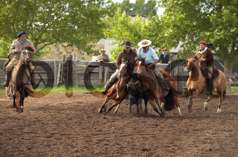 Photo of llshqylp7a4v6gamwl2va5bw