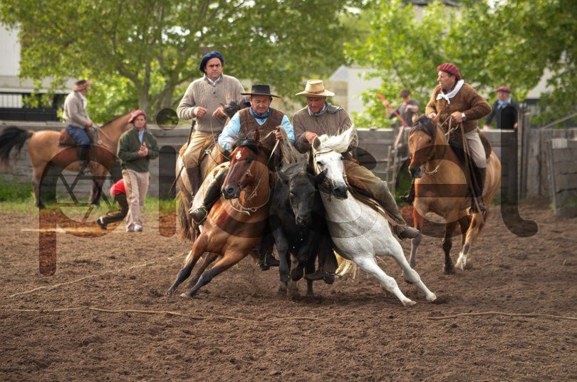 Photo of gyonwtcf2pn29kmkkggypwbt