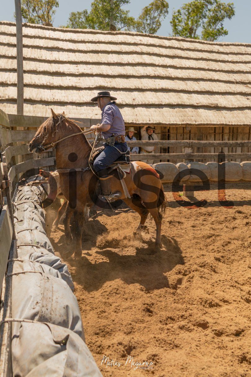 Photo of vkj5p7t67so1oaywnub62rq7