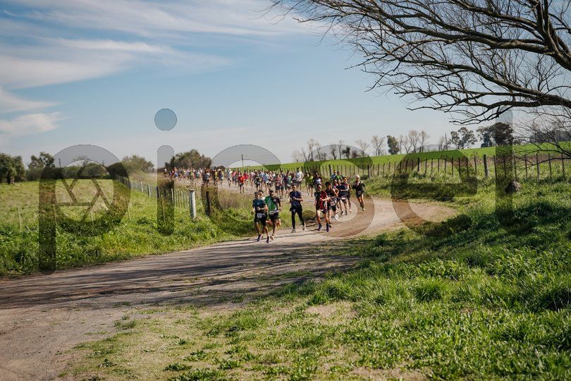 Photo of mnlnju6ag2e7doo5gltc5ji1