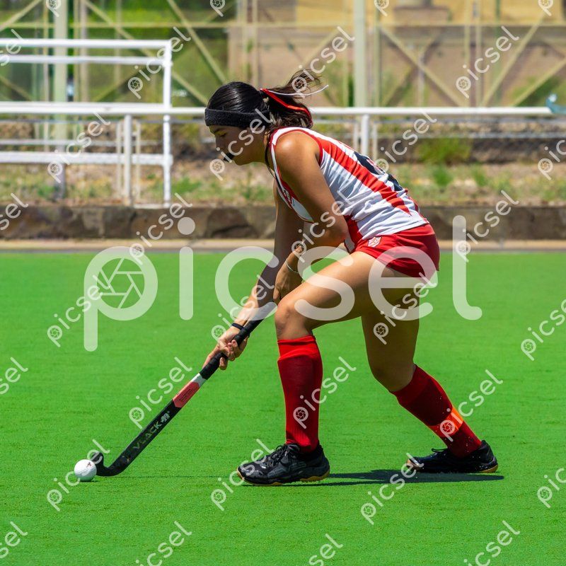 Photo of v1pnsegsaghmywm9rzwrnfhh